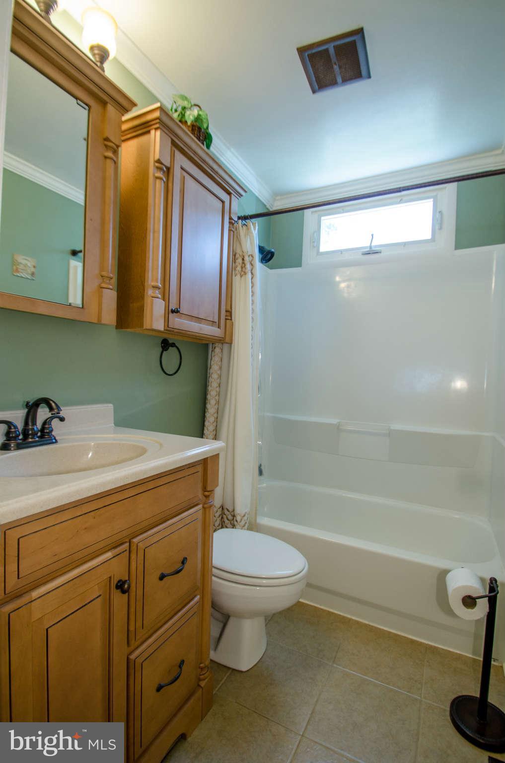 315 Leyton Road Reisterstown, MD 21136 - Photo 10 of 20 Bath