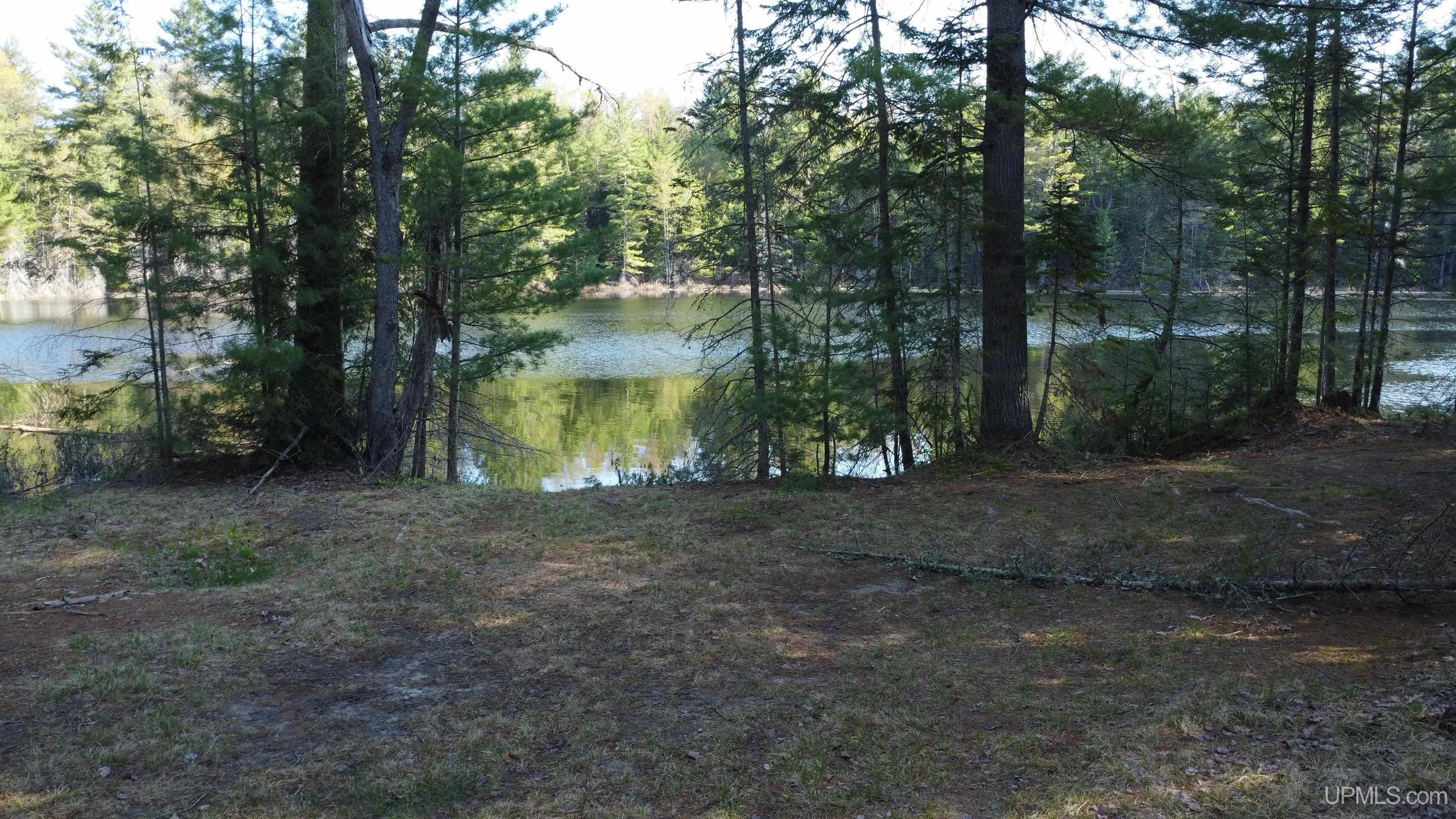 On Wolf Lake Road McMillan, MI 49853 - Photo 25 of 37
