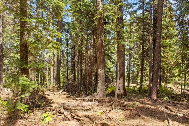 $150,000 | 80 Arling Trail, Unit 5A14, Cascade, ID 83611