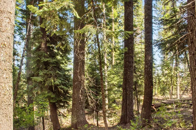 $150,000 | 80 Arling Trail, Unit 5A14, Cascade, ID 83611