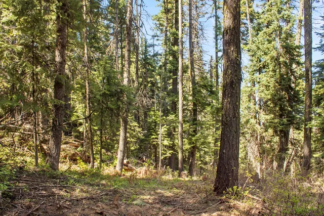 $150,000 | 80 Arling Trail, Unit 5A14, Cascade, ID 83611