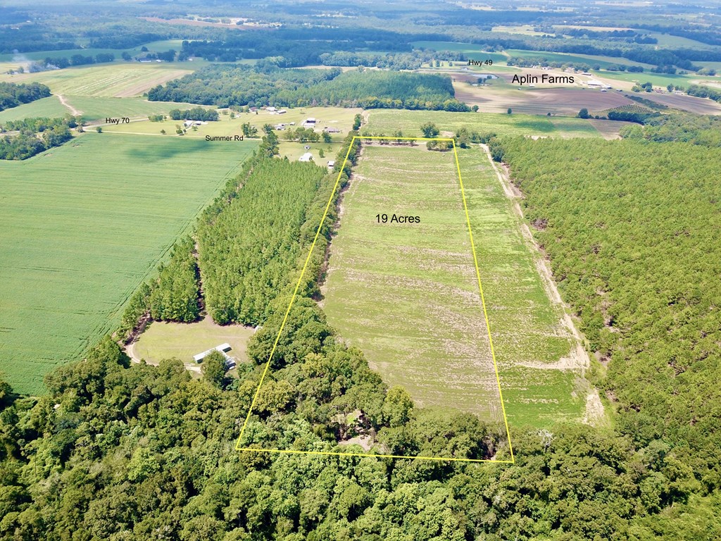 19-acres Summer Road Slocomb, AL 36375 - Photo 18 of 22