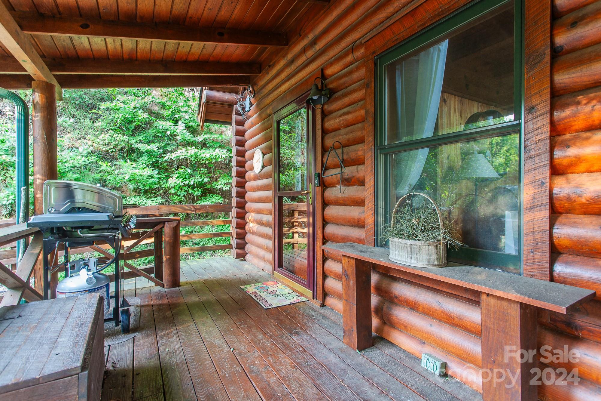 840 Mission Mountain Road Robbinsville, NC 28771 - Photo 20 of 48 Gallery Image 20