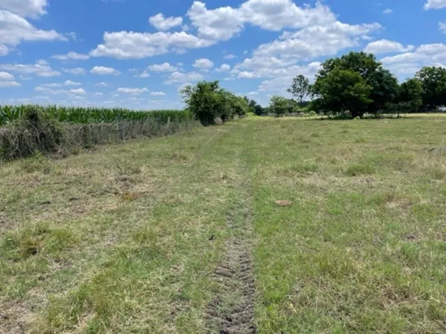 a view of a grassy field with trees