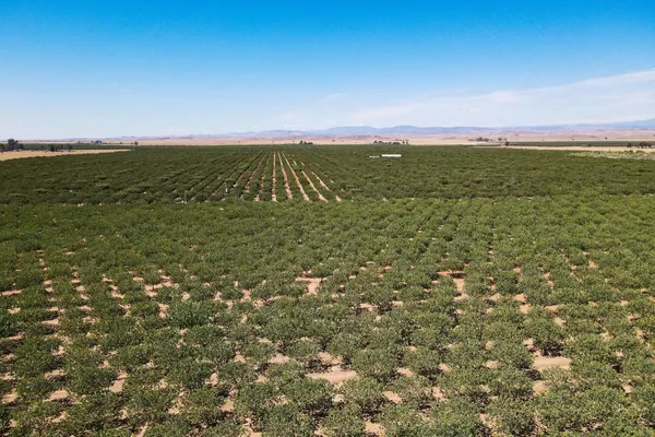 $18,999,999 | 5529 South Baxter Road, Le Grand, CA 95333
