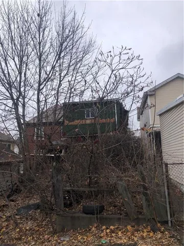 a view of a yard with plants and large trees