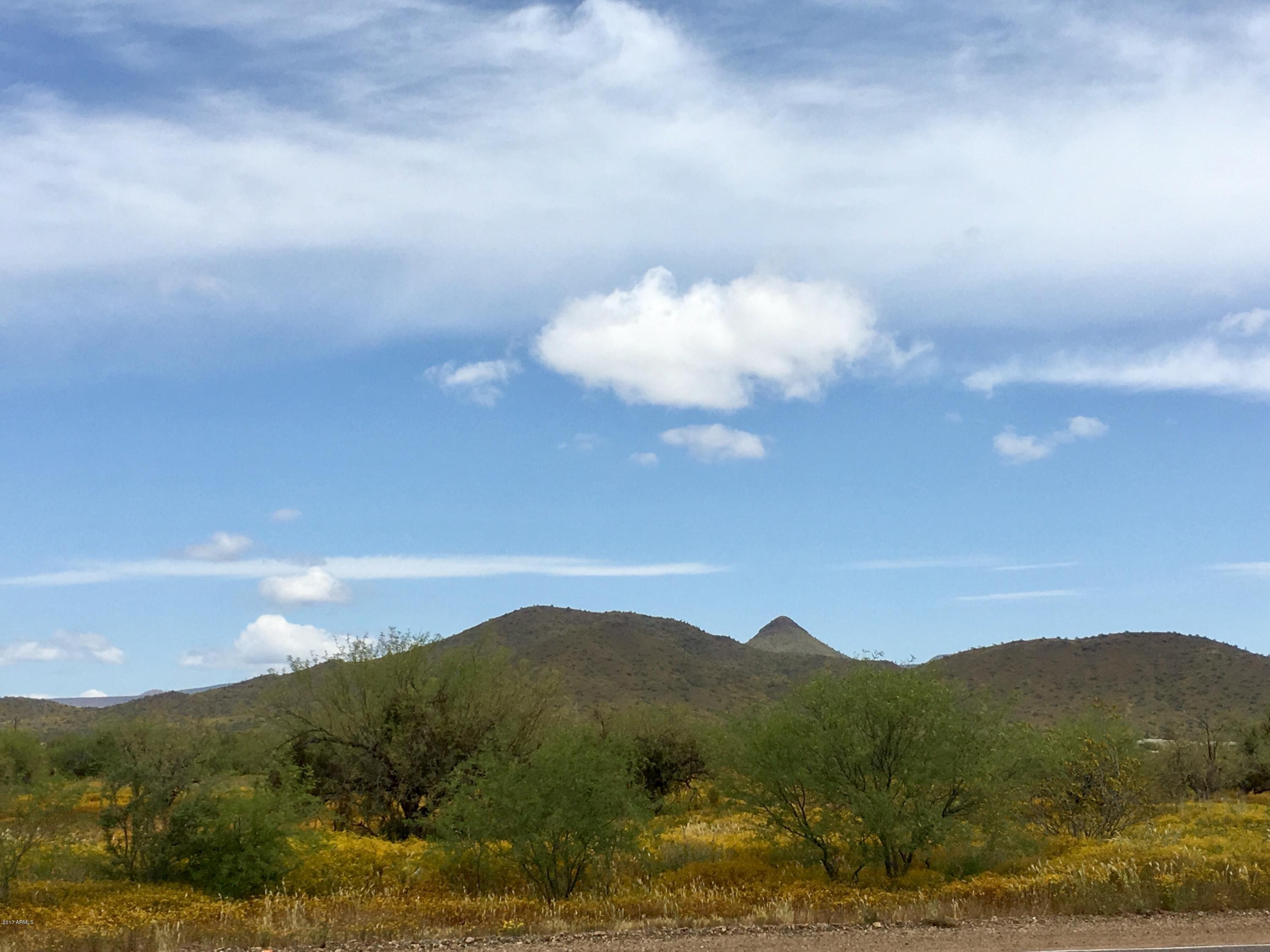 1235 East Joy Ranch Road Phoenix, AZ 85086 - Photo 5 of 12 IMG_4426