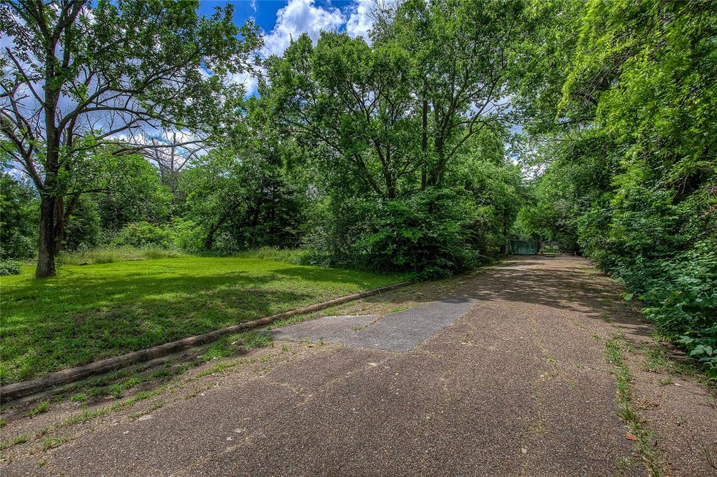 0 Sycamore Street Commerce, TX 75428 - Photo 14 of 14 a view of a yard with a large trees