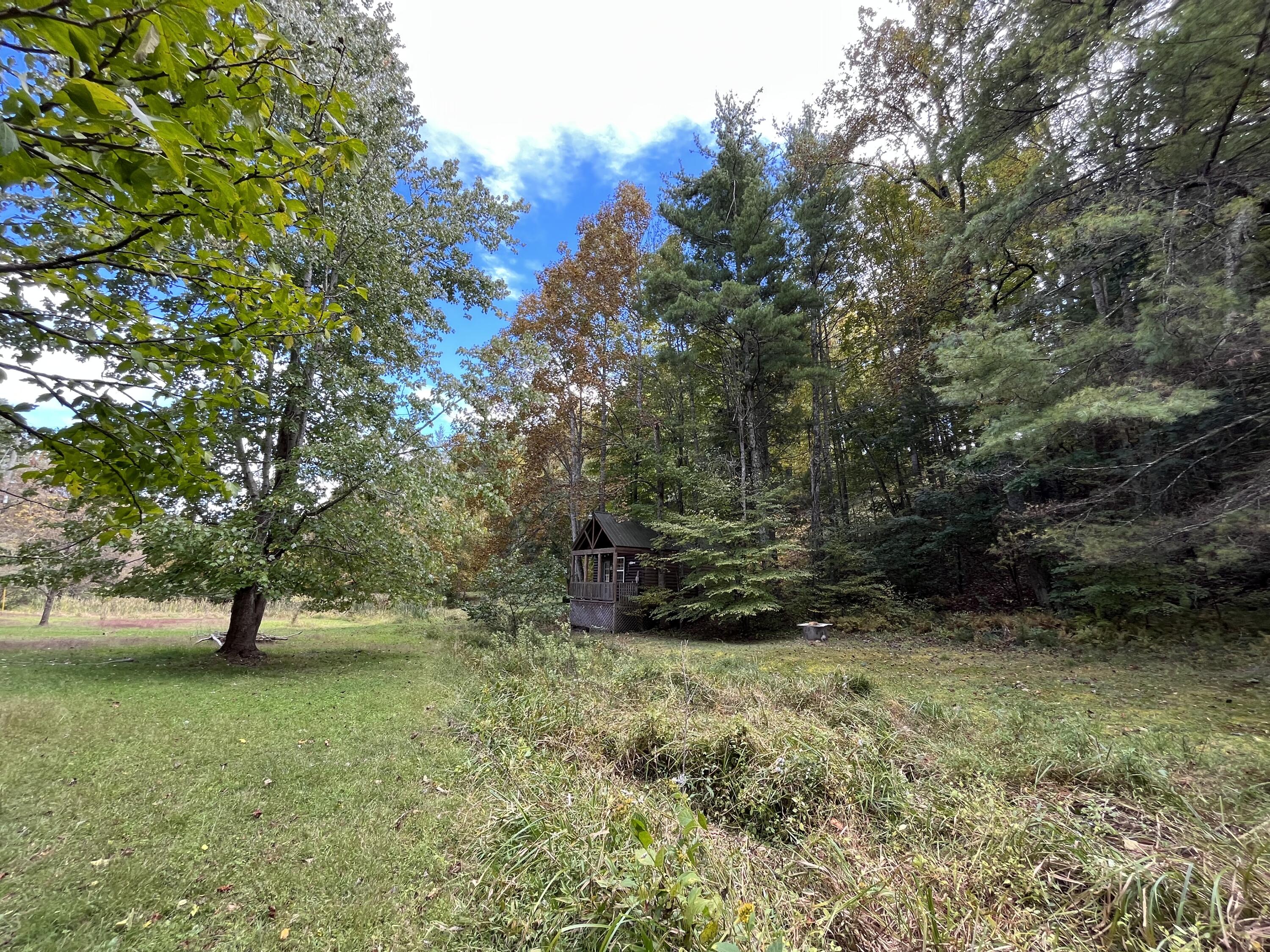 0 Sunflower Road Pilot, VA 24138 - Photo 29 of 30 IMG_4035