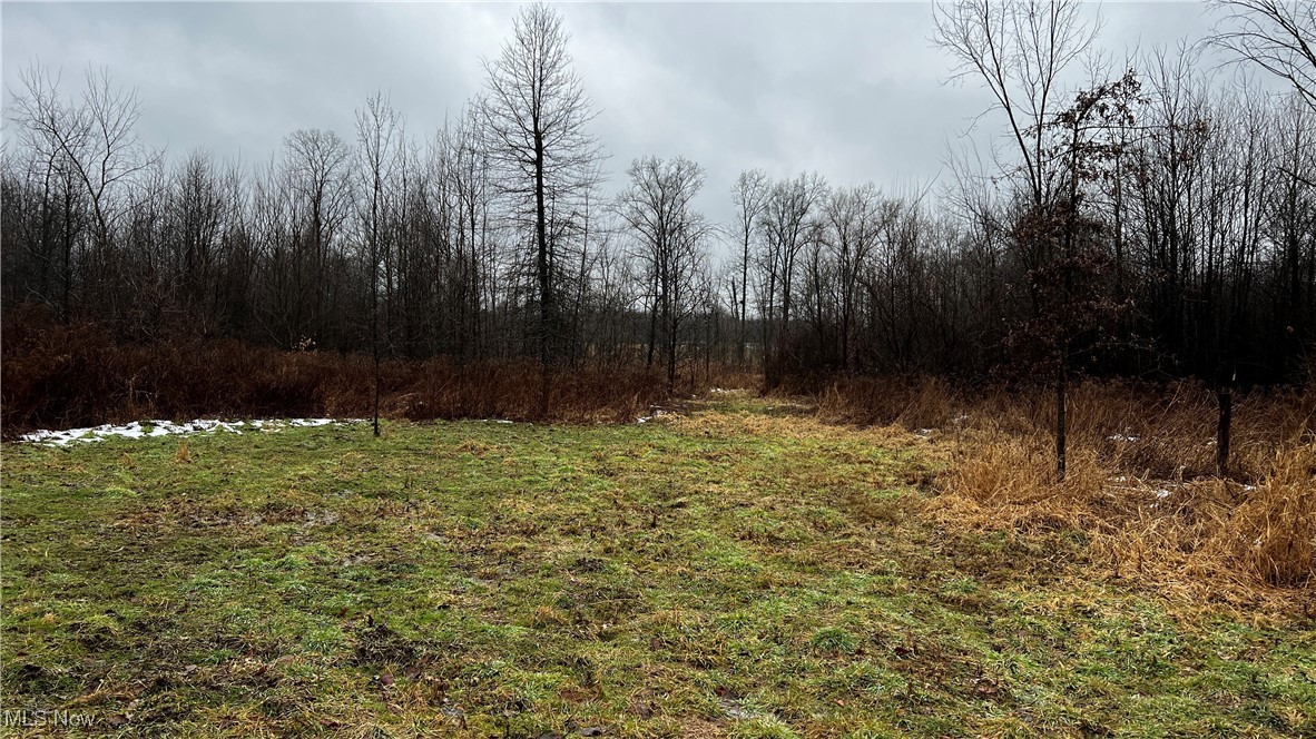 Braceville Robinson Rd Road Newton Falls, OH 44444 - Photo 10 of 50 Gallery Image 10