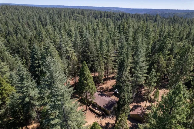 a view of a wooden house with a yard and large trees