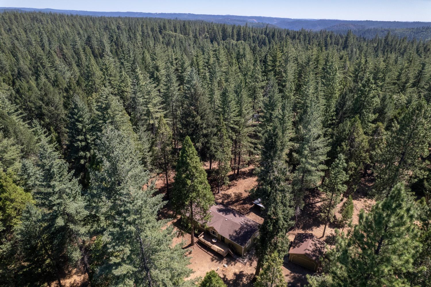 7140 Darling Cabin Road Garden Valley, CA 95633 - Photo 30 of 34 a view of a forest with a forest