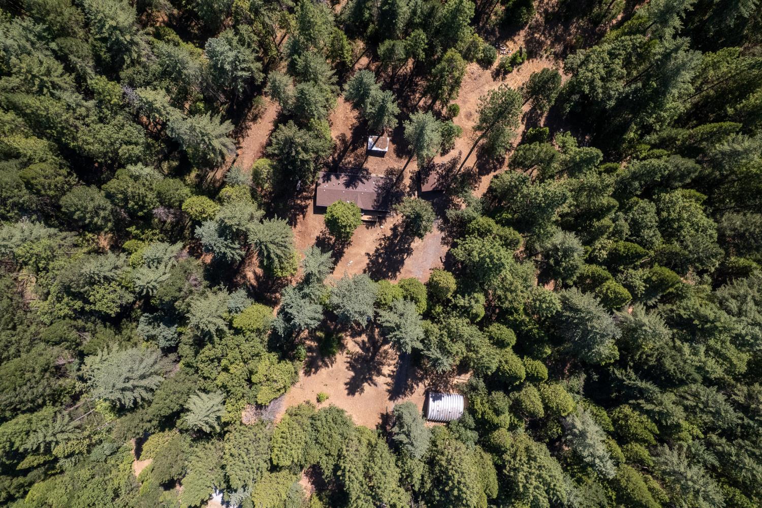 7140 Darling Cabin Road Garden Valley, CA 95633 - Photo 32 of 34 a view of a house with a tree