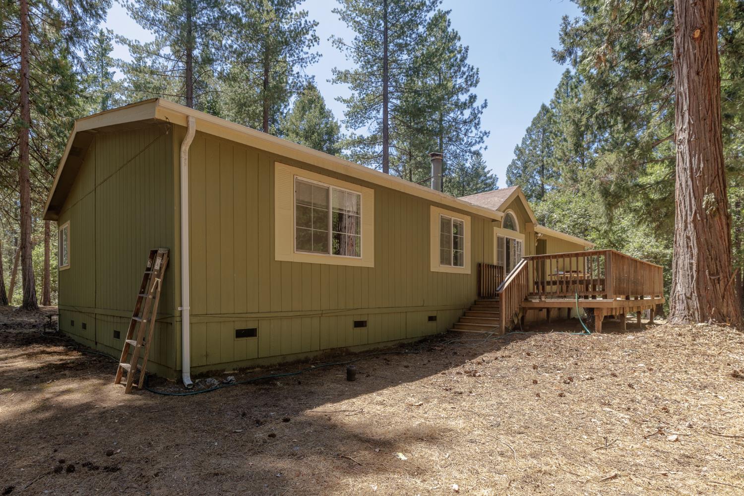 7140 Darling Cabin Road Garden Valley, CA 95633 - Photo 4 of 34 a backyard of a house