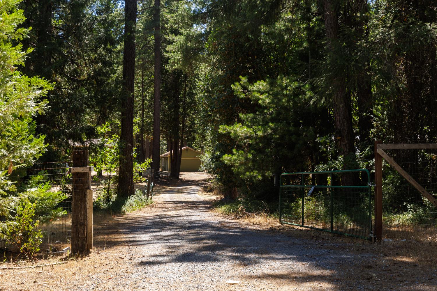 7140 Darling Cabin Road Garden Valley, CA 95633 - Photo 10 of 34 a view of street along with trees