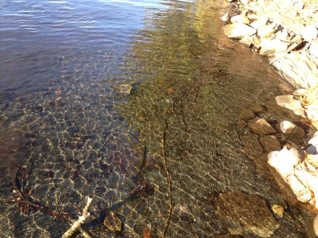 3 Sunrise Point Rd Lake View Milo, ME 04463 - Photo 14 of 15 water is shallow be the edge, then...