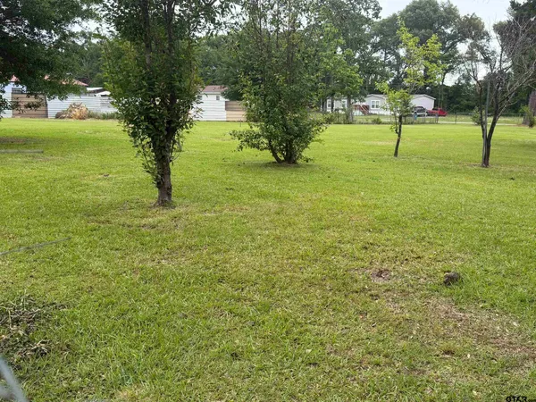 a view of a trees with a yard