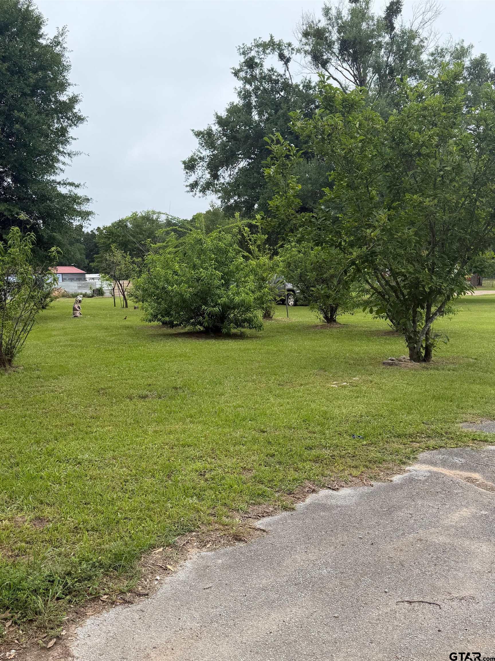 Tbd Cutter Drive Frankston, TX 75763 - Photo 2 of 4 a view of a field with an trees