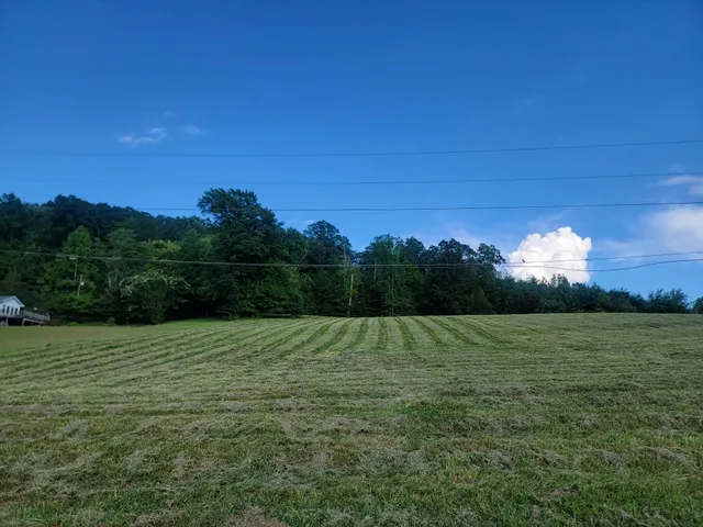 $29,900 | Lot 33 Hinch Street, Spring City, TN 37381
