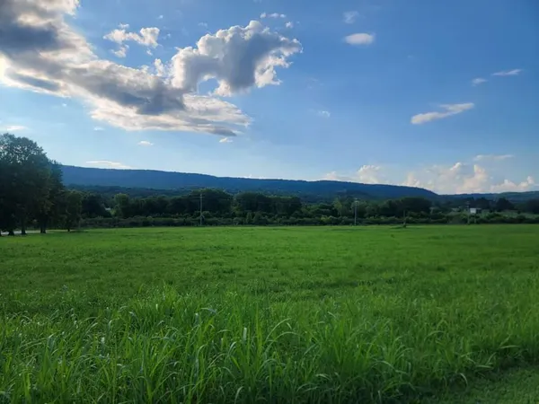 $29,900 | Lot 33 Hinch Street, Spring City, TN 37381