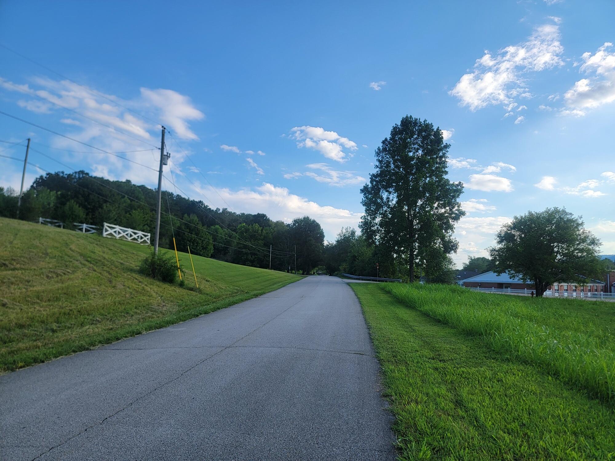 Lot 33 Hinch Street Spring City, TN 37381 - Photo 6 of 10 Resized_20250806_184502