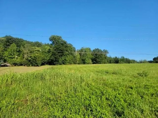 $29,900 | Lot 33 Hinch Street, Spring City, TN 37381