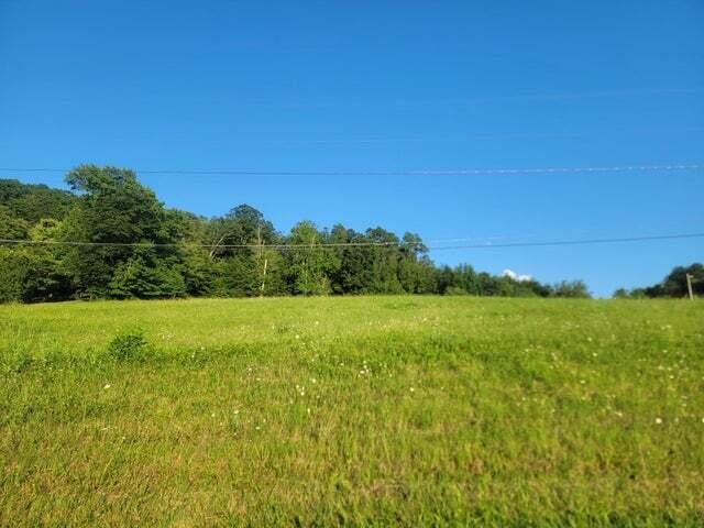 Lot 33 Hinch Street Spring City, TN 37381 - Photo 9 of 10 Lot 32 3