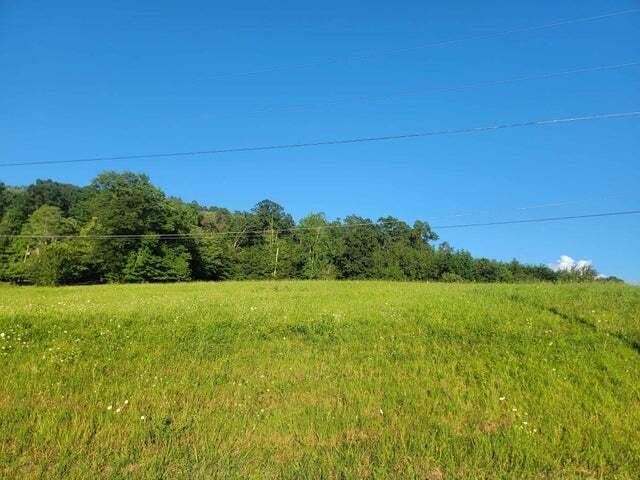 Lot 33 Hinch Street Spring City, TN 37381 - Photo 10 of 10 Lot 32 2