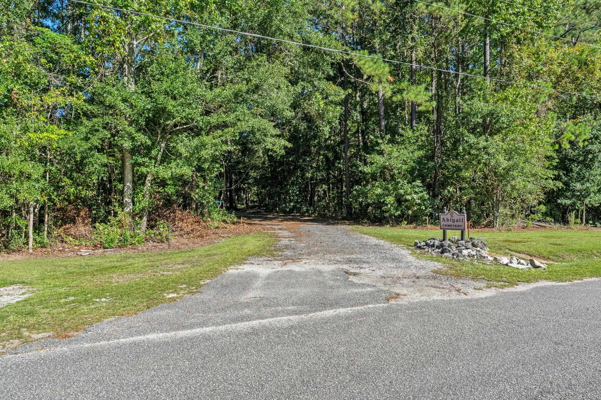 245 Bear Grass Road East Longs, SC 29568 - Photo 54 of 68 Gallery Image 54
