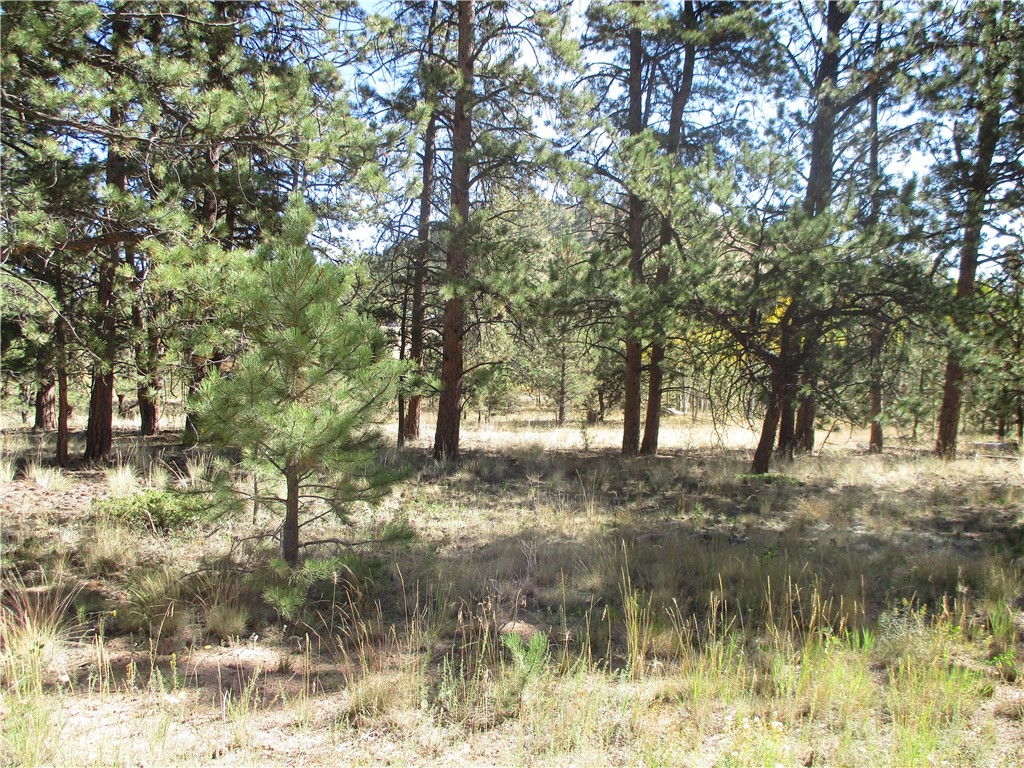 166 Haystack Road Hartsel, CO 80449 - Photo 4 of 16 Gallery Image 4