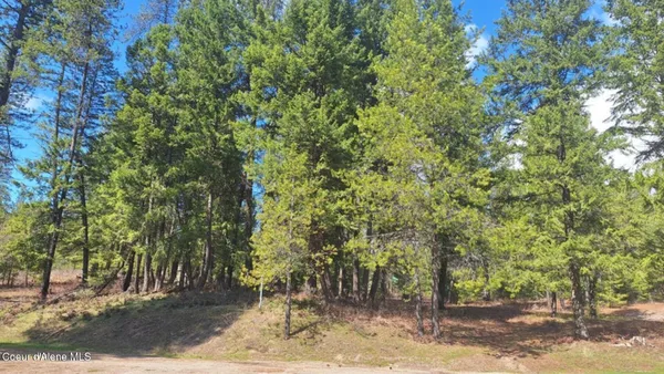 $104,900 | Nna Parkland Drive, Blanchard, ID 83804