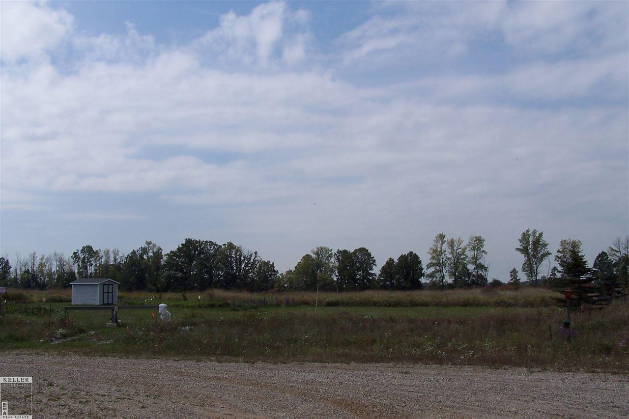 Parcel I-1 Parcel I-1 Ray Lane Imlay City, MI 48444 - Photo 3 of 7