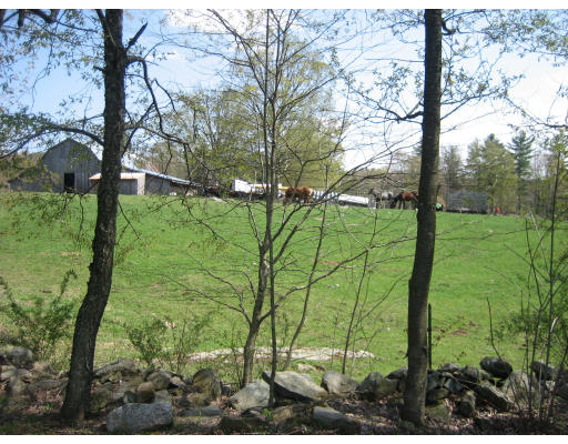 172 New State Road Montgomery, MA 01085 - Photo 19 of 21