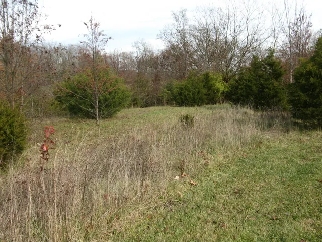 $160,000 | 0 Inghams Ml Lane, Lawrenceburg, IN 47025