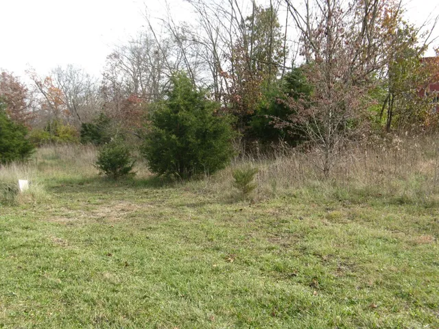 $160,000 | 0 Inghams Ml Lane, Lawrenceburg, IN 47025