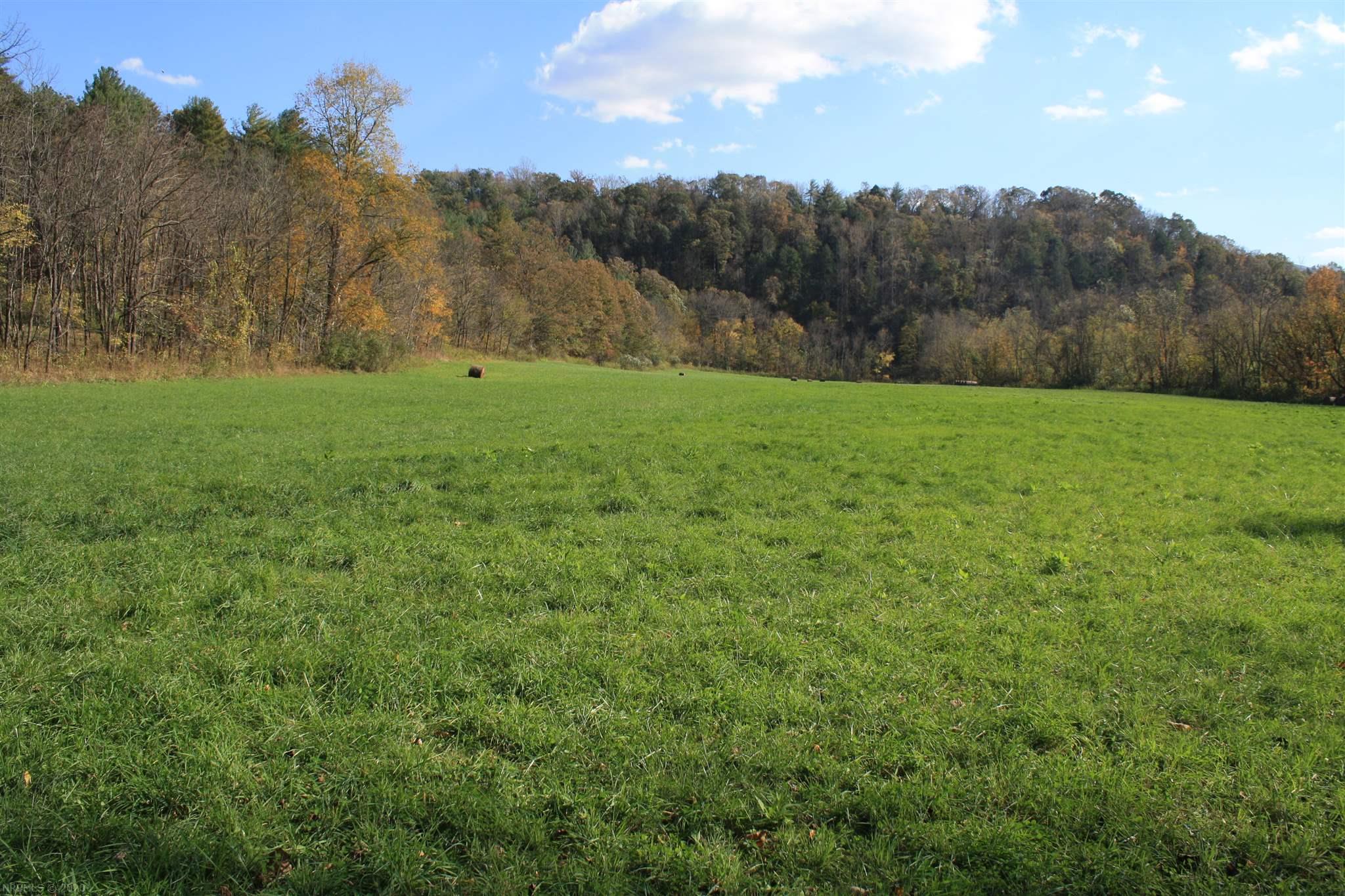 6918 Jackson River Road Hot Springs, VA 24445 - Photo 10 of 17 Gallery Image 10