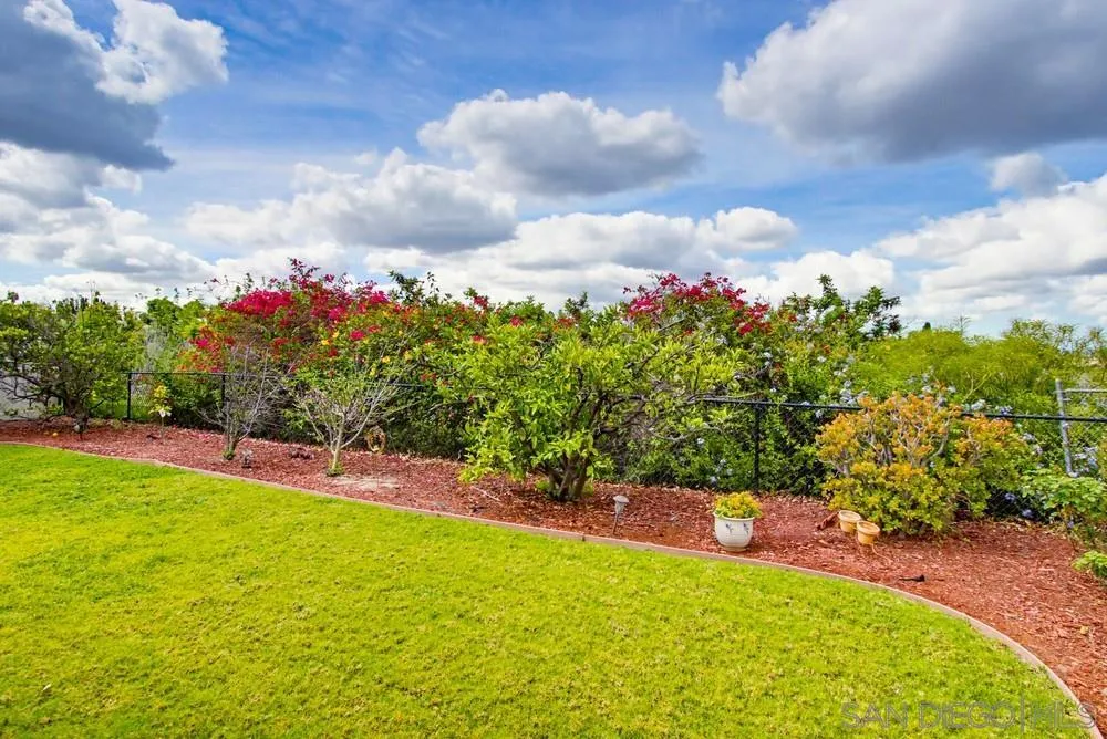 7832 Forrestal Road San Diego, CA 92120 - Photo 54 of 64 Garden