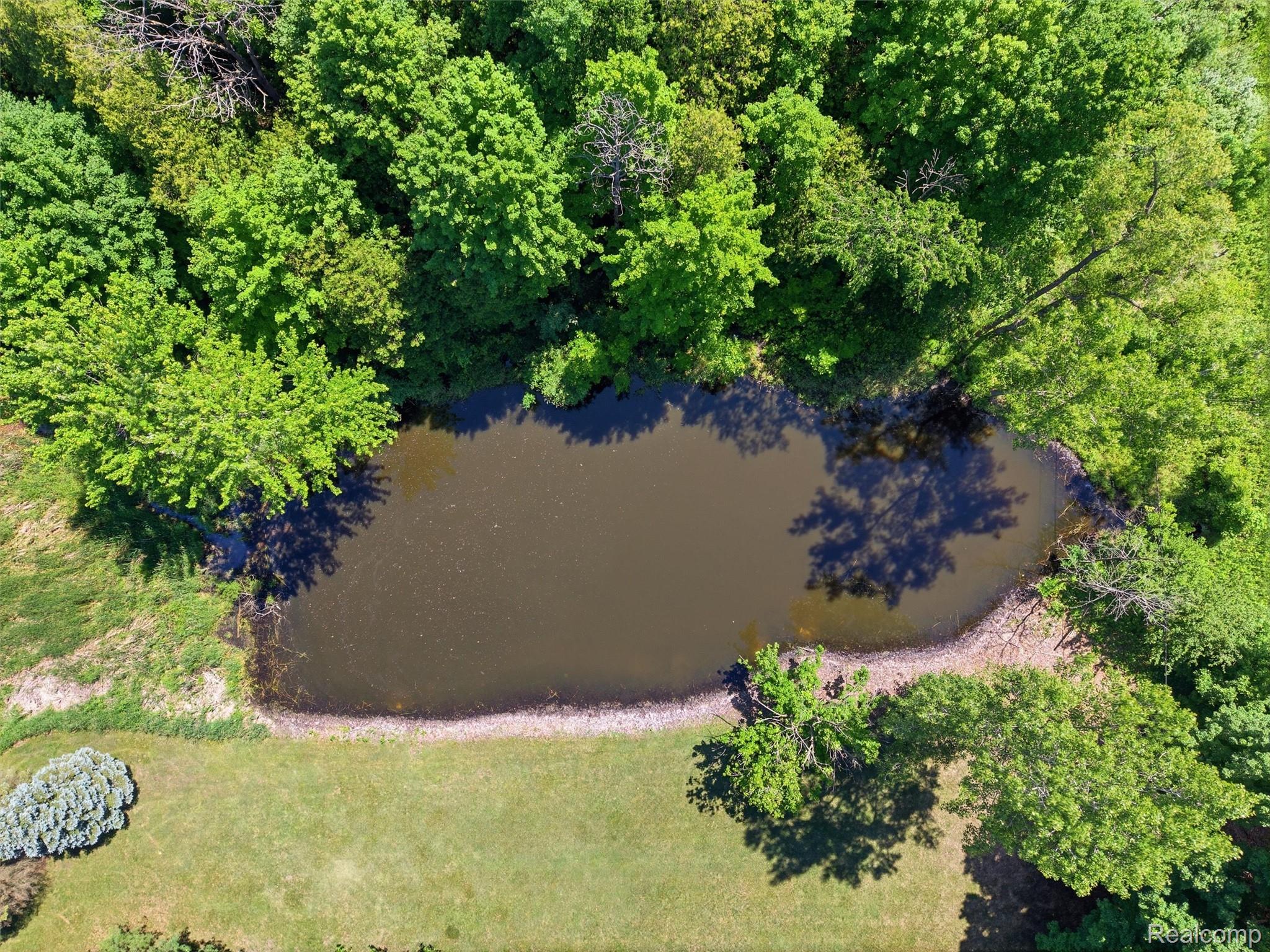 5449 Lum Road Attica, MI 48412 - Photo 23 of 82 Natural pond bordered by mature trees and lush green landscaping
