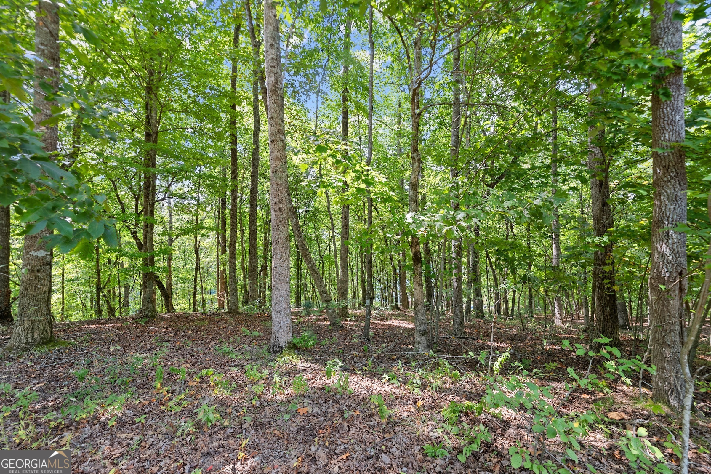 0 Springwinds Drive Cleveland, GA 30528 - Photo 11 of 41