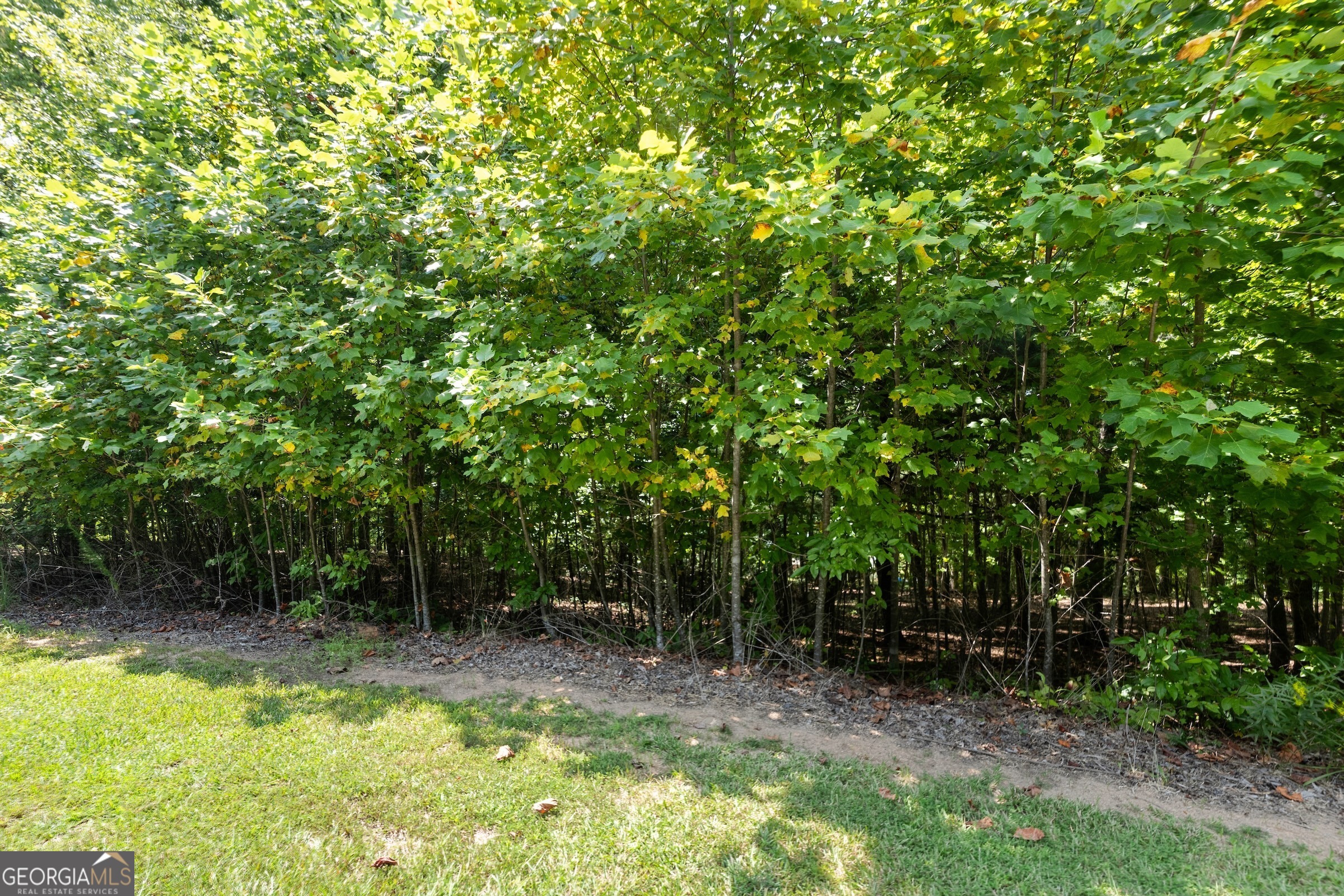 0 Springwinds Drive Cleveland, GA 30528 - Photo 13 of 41