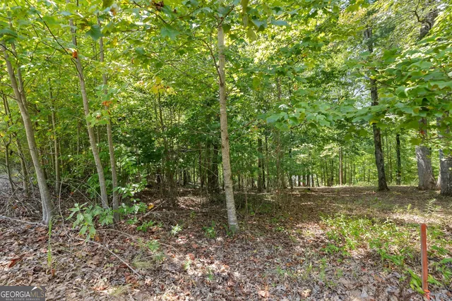 $239,900 | 0 Springwinds Drive, Cleveland, GA 30528