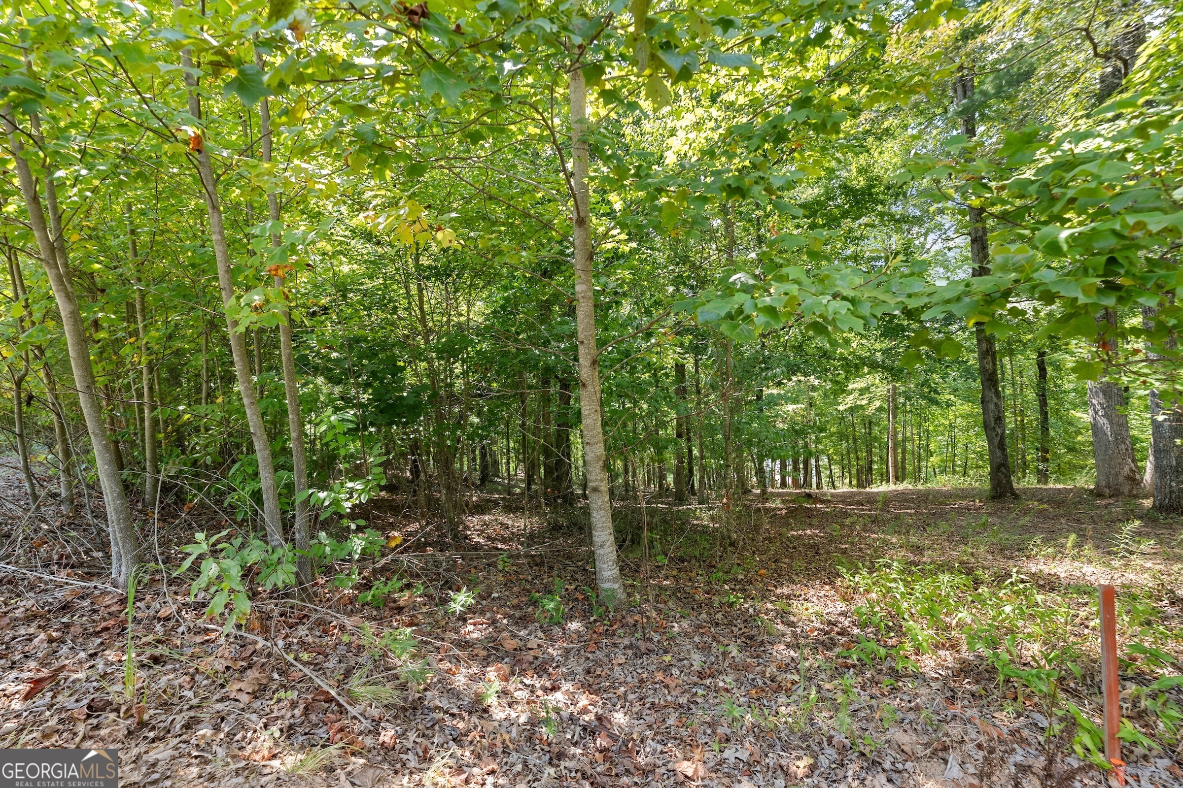 0 Springwinds Drive Cleveland, GA 30528 - Photo 14 of 41