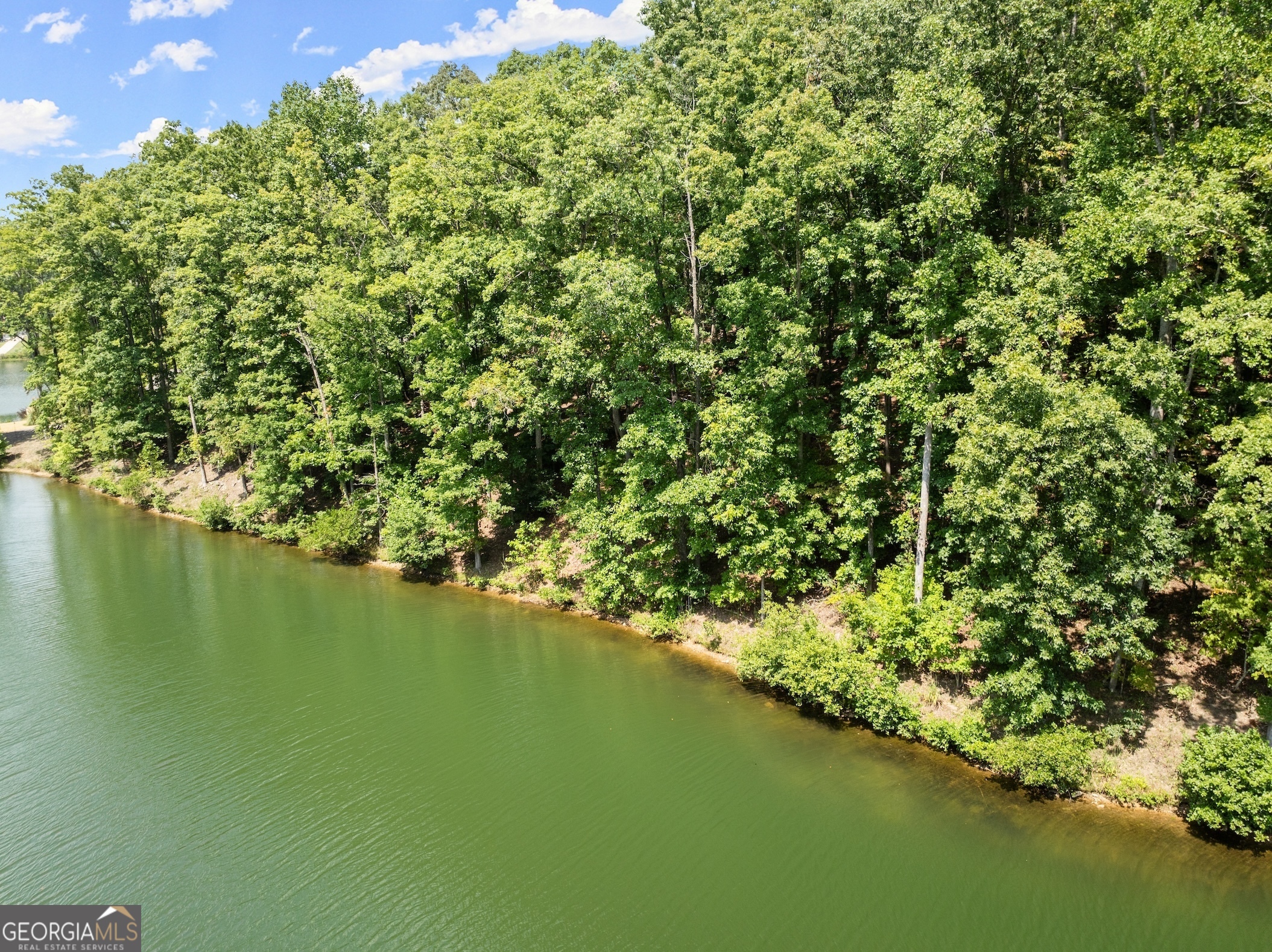 0 Springwinds Drive Cleveland, GA 30528 - Photo 21 of 41