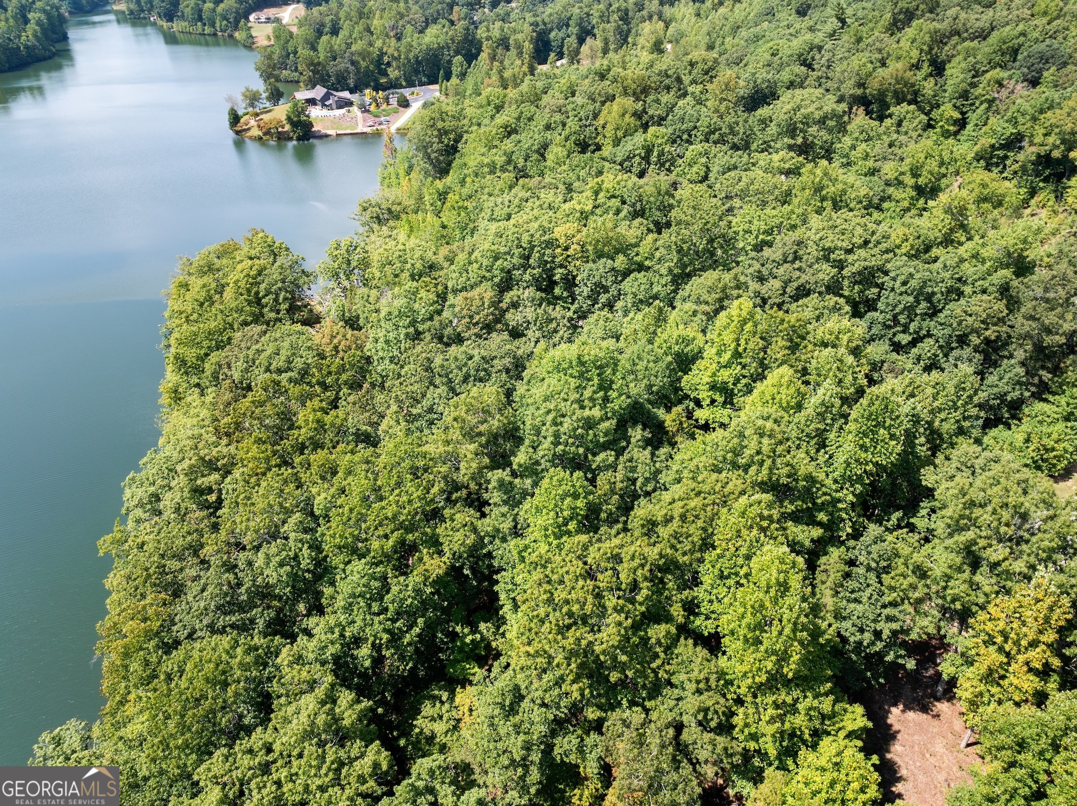 0 Springwinds Drive Cleveland, GA 30528 - Photo 26 of 41