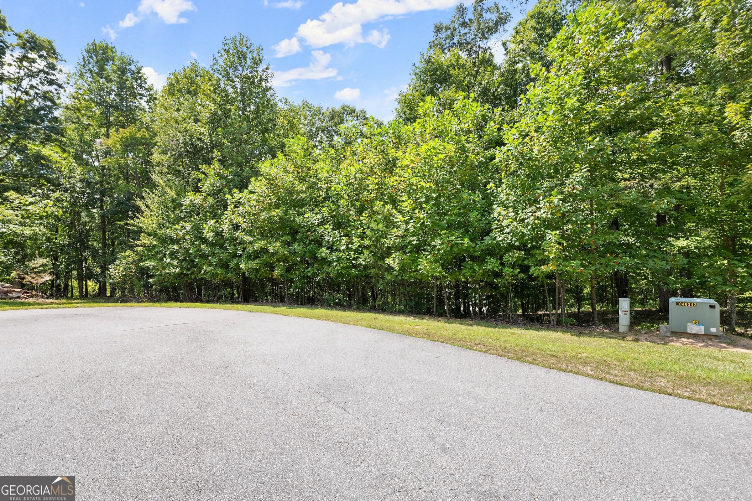 0 Springwinds Drive Cleveland, GA 30528 - Photo 4 of 41