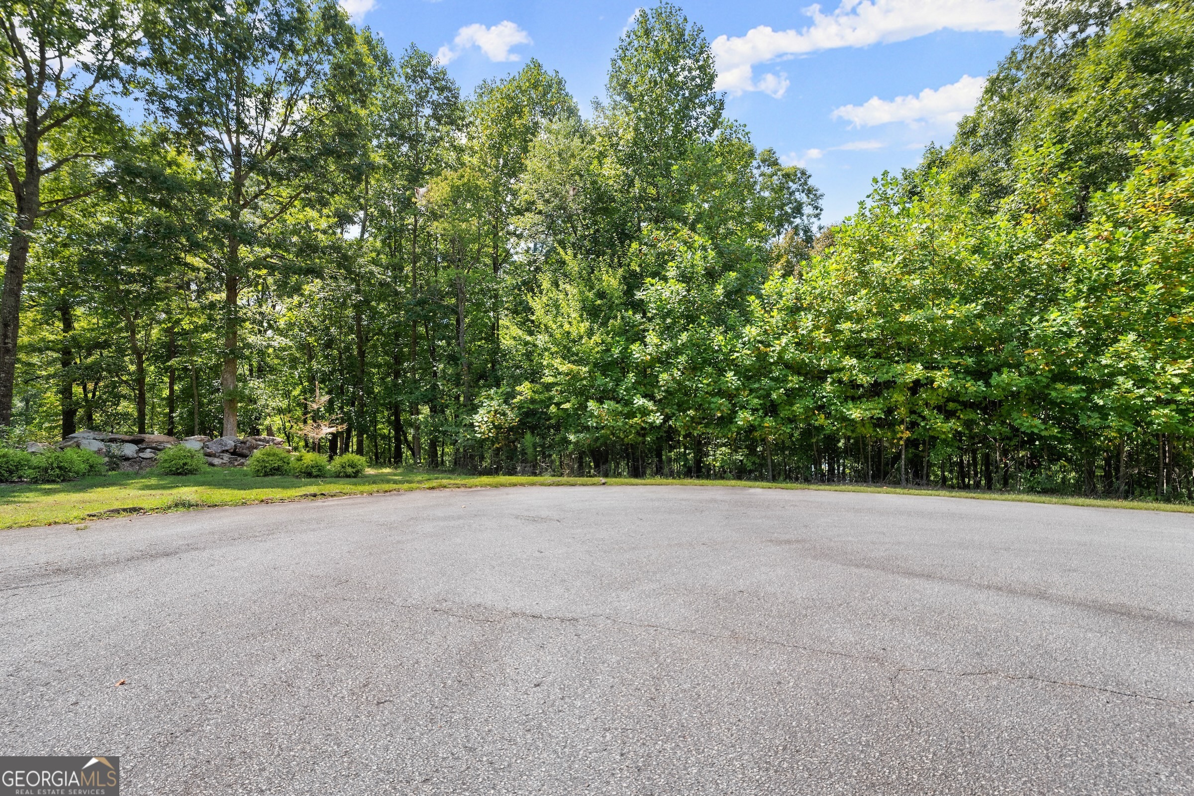 0 Springwinds Drive Cleveland, GA 30528 - Photo 5 of 41