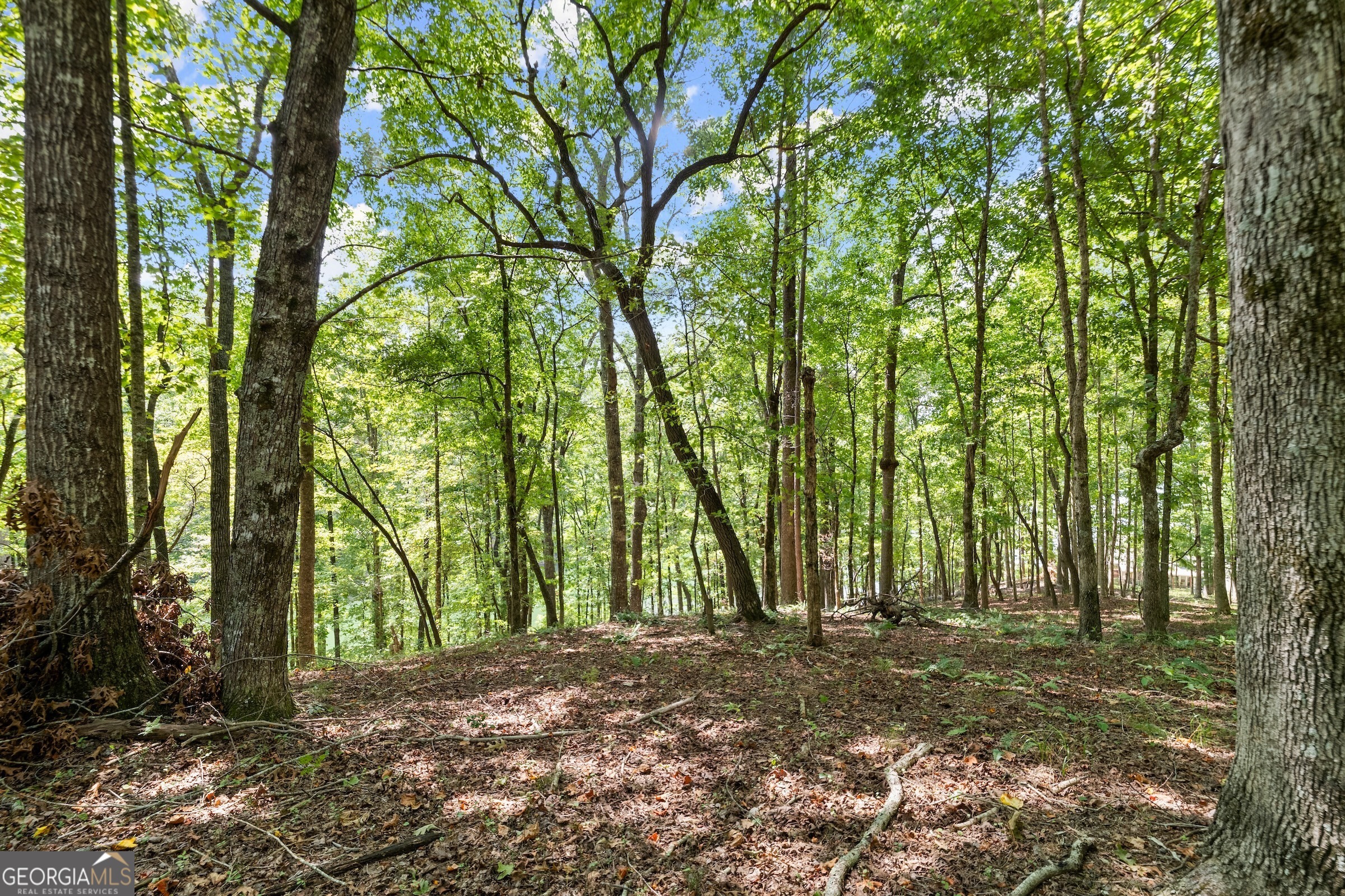 0 Springwinds Drive Cleveland, GA 30528 - Photo 7 of 41