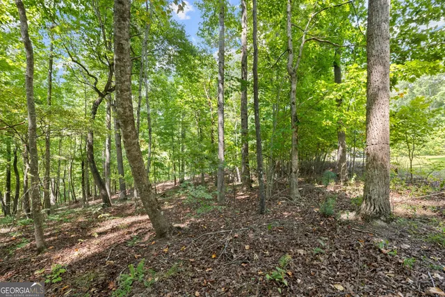 $239,900 | 0 Springwinds Drive, Cleveland, GA 30528