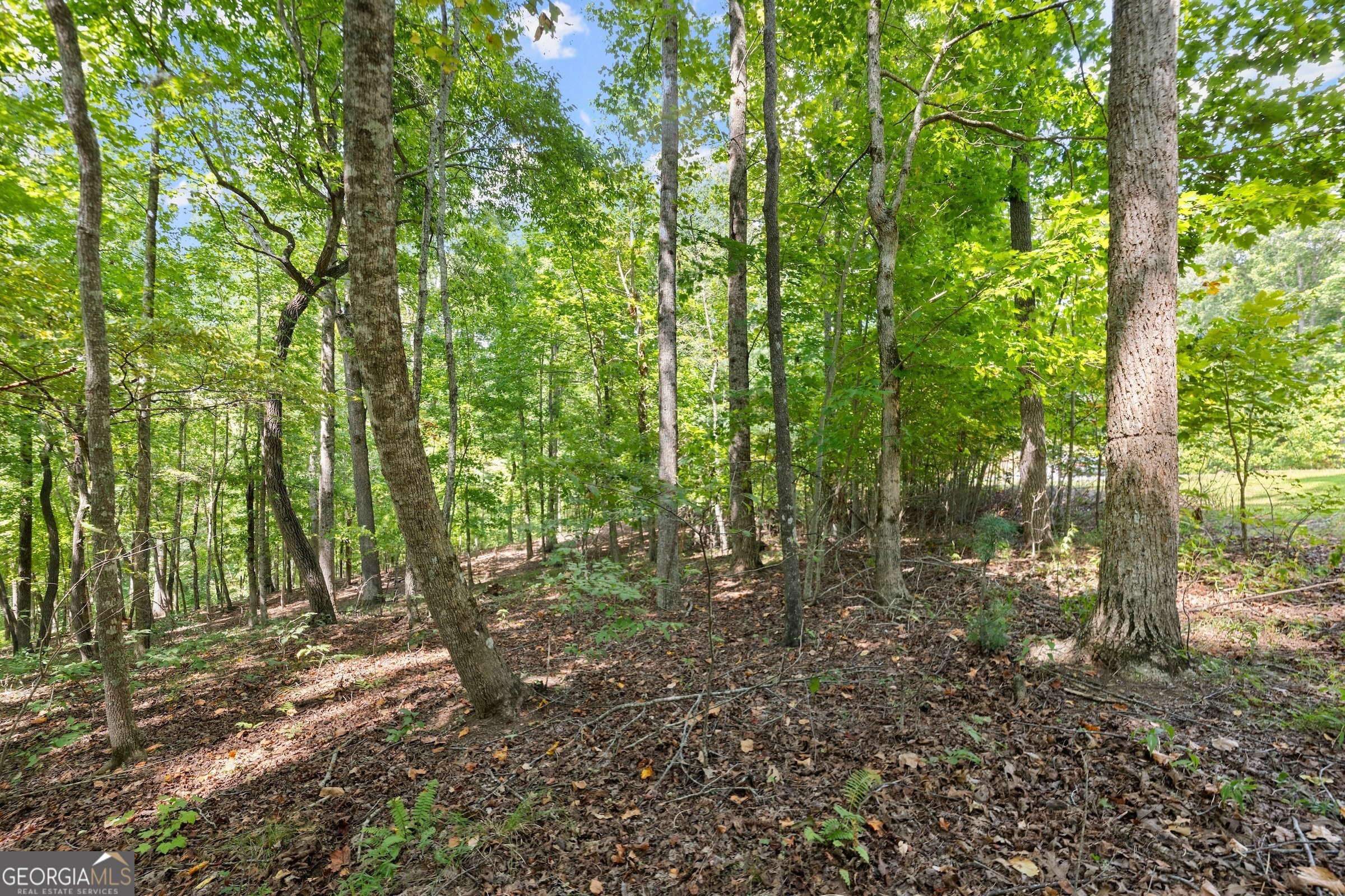 0 Springwinds Drive Cleveland, GA 30528 - Photo 8 of 41