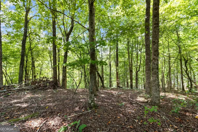 $239,900 | 0 Springwinds Drive, Cleveland, GA 30528